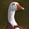 144341 goose avatar